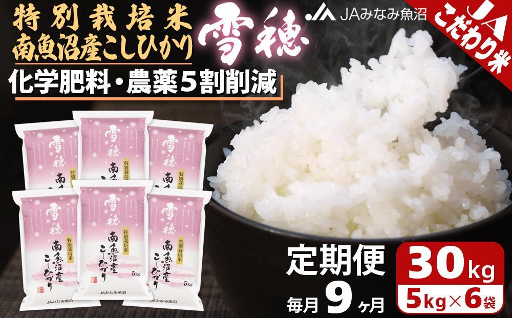 【JAみなみ魚沼定期便】特別栽培米南魚沼産こしひかり「雪穂」（30kg×全9回）精米 農薬5割削減 精米HACCP認定工場 特A獲得日本一産地 高品質精米 もっちり甘い 南魚沼産コシヒカリ