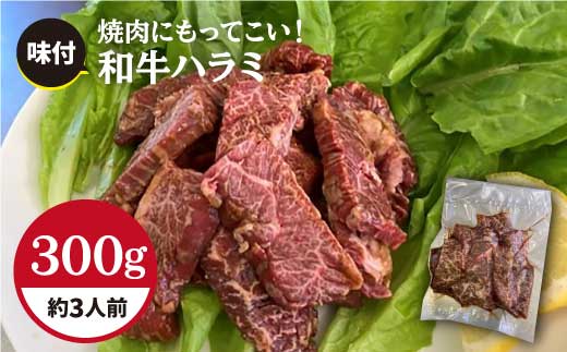 
ごはんおかわり必至！やみつきになるホルモン専門店の味付和牛ハラミ300g （約3人前）【三田川ホルモン専門店】吉野ヶ里町 [FAC003]
