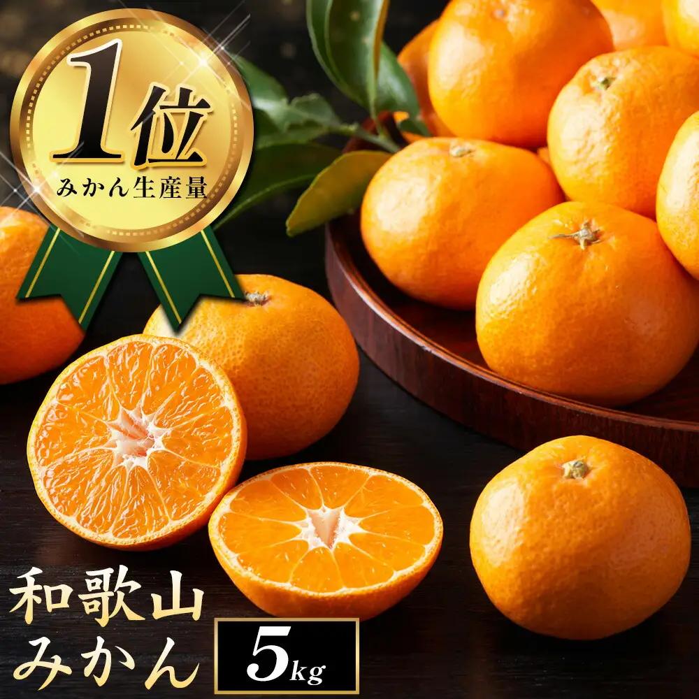 みかん ご家庭用みかん約5kg