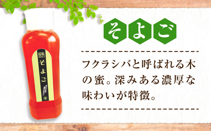 手軽に簡単チューブはちみつ（そよご・くろがねもち）各500g 計2本セット 蜂蜜 ハチミツ お取り寄せ グルメ 三次市/重森養蜂場 [APBO008]