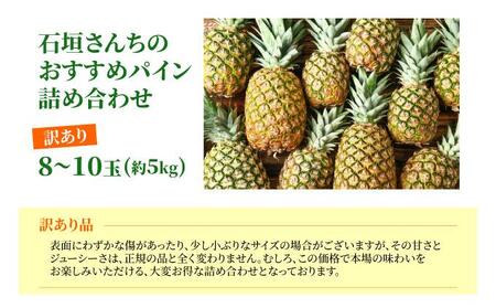 訳あり 石垣さんちのおすすめパイン詰め合わせ　8～10玉 (約5kg)《2026年4月中旬から順次発送》TP-21