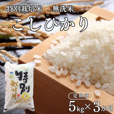ふるさと納税 三条市 [定期便 5kg×3ヶ月] 県認証 特別栽培米 コシヒカリ 令和7年産 無洗米【031S022】