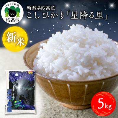ふるさと納税 妙高市 【2025年11月下旬発送】令和7年産 新潟県妙高産こしひかり「星降る里」5kg
