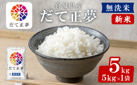 ＜先行予約！2025年11月から順次発送予定＞【令和7年産 新米】宮城県産 だて正夢 無洗米 5kg お米 おこめ 米 コメ 白米 ご飯 ごはん 伊達 だてまさゆめ おにぎり ブランド米 5kg【株式会社パールライス宮城】ta356
