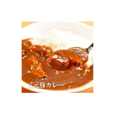 ふるさと納税 酒田市 【平田牧場】日本の米育ち◆金華豚・三元豚コラーゲン入りカレーギフト |  | 02