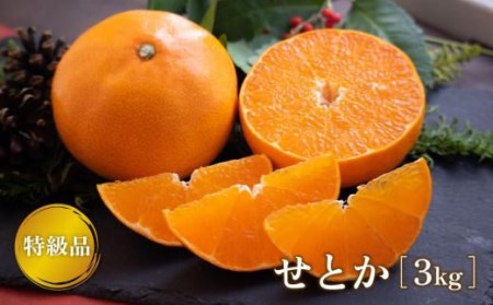 せとか 3kg 【特級品】 | せとか みかん くだもの 【TMN018_x】
