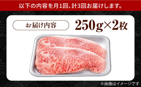 【3回定期便】佐賀県産 黒毛和牛 贅沢ロースステーキ 250g×2枚（計500g）【株式会社いろは精肉店】[IAG087]