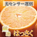 【ふるさと納税】＜4月より発送＞厳選 樹上完熟はっさく2.5kg+75g（傷み補償分）【八朔】【さつき・木成】