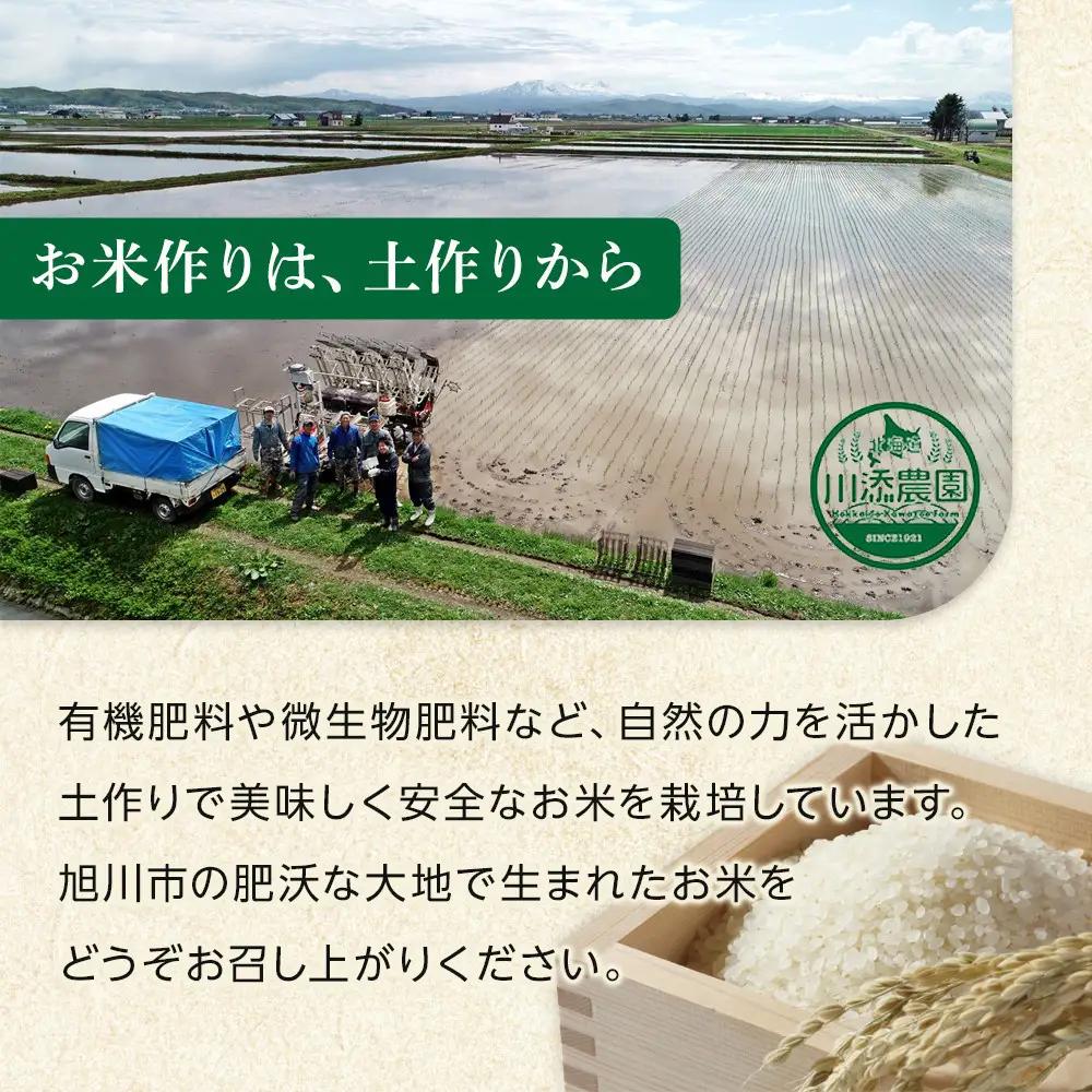 ZIP!で紹介！ 令和7年産 ななつぼし 無洗米 真空パック 5kg×4個（合計20kg） | ななつぼし_02167