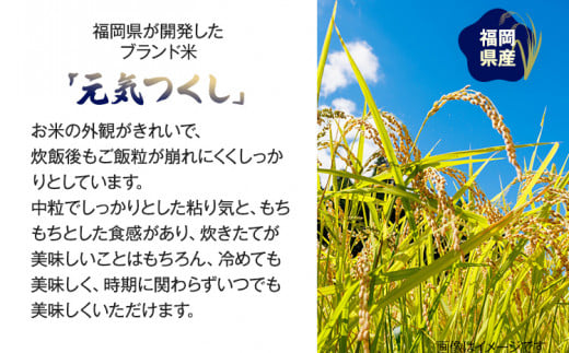 【令和7年産】 福岡県 大木町産 元気つくし 5kg　BC02-2