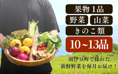 湯の花　旬の野菜と果物セット３か月の定期便