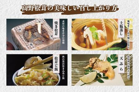 【2024寄付分】香り・歯応え・味ともに最高級！希少な国産松茸「高野松茸」200g【化粧箱入】
