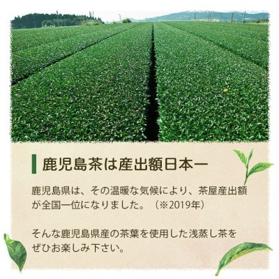 【2024年度産】浅蒸し煎茶(50g×6袋)【若蒸し煎茶】【合計300g】 A3-6【1496112】