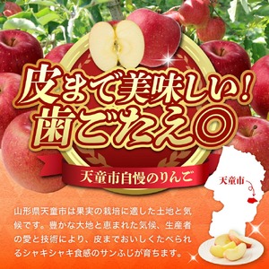 贈答用 サンふじ 10kg フルーツ 果物 山形 08-03-108