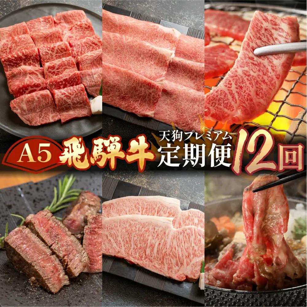 【定期便 12回】飛騨牛  (ステーキ / 焼き肉 / すき焼き /希少部位 赤身 / 霜降り) 【11-O】