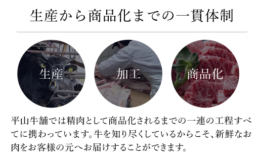 神戸牛 家庭用小間切れ500g（250ｇ×2P）