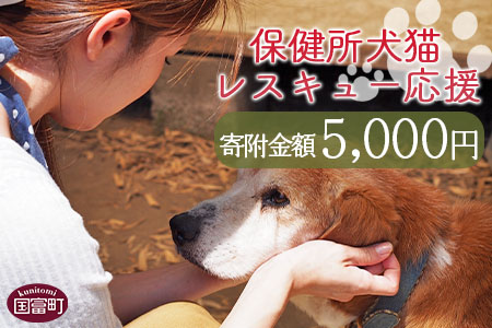 ＜保健所犬猫レスキュー【返礼品なしのご寄附】＞寄付金額5、000円※お礼状をお送りいたします。【 動物愛護 保護 犬 猫 いぬ ねこ イヌ ネコ 動物 どうぶつ ペット 応援 支援 寄付 使い道 寄附のみ いのちのはうす保護家 】