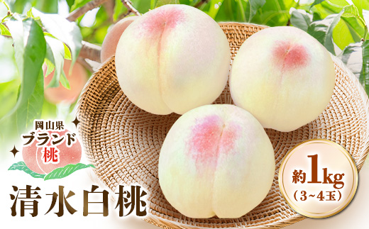 【2027年先行受付 7月下旬頃より順次発送】岡山県ブランド『清水白桃』　約1kg(3~4玉)【配送不可地域：離島・北海道・沖縄県】