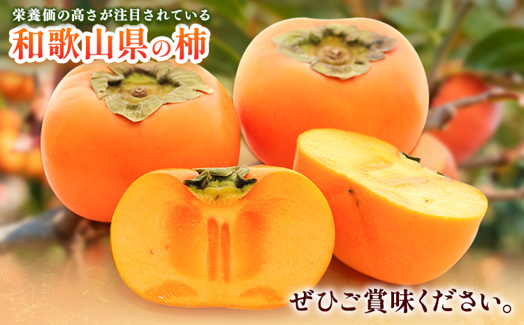 ＜10月より発送＞たねなし柿 5kg 刀根早生 平核無柿 ひらたねなしかき 池田鹿蔵農園《10月上旬-12月上旬頃出荷》 和歌山県 日高町 柿 カキ かき たねなし ジューシー フルーツ 種無柿 種無