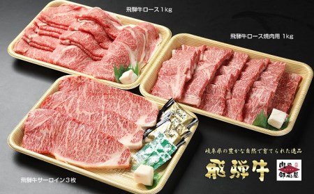 飛騨牛 A5等級【冷蔵配送】【6回定期便】飛騨牛食べ比べセット サーロイン ローススライス ロース焼肉用