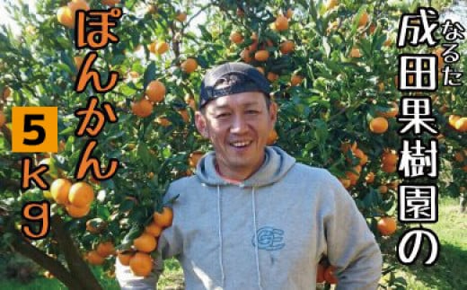 
            成田果樹園のぽんかん5kg家庭用
          