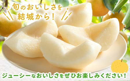 【2026年先行予約】とっくんちの梨 あきづき 約3kg 鈴木農園《8月下旬-9月中旬頃出荷》茨城県 結城市 数量限定 果物 フルーツ 甘み ジューシー 豊か 芳香 しゃりっ 爽やかな 季節【配送不可
