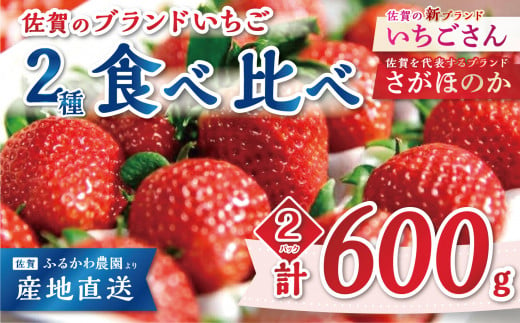 
【先行予約｜ふるかわ農園】佐賀県小城市産「いちごさん1箱&さがほのか1箱」計600g（300g×2箱）
