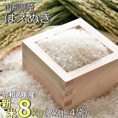 ふるさと納税 長井市 【令和7年産新米】山形県産「はえぬき」8kg_A187(R7)