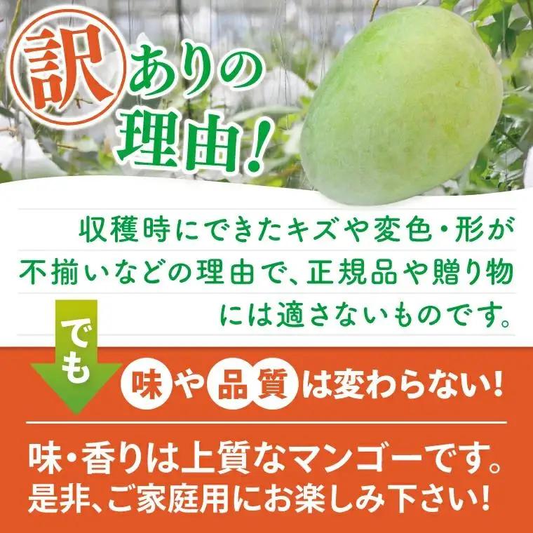 【訳あり】菜々色畑のキーツマンゴー 3～7玉(約2.5kg)【白箱】