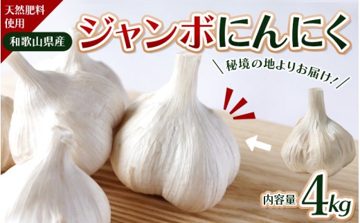 令和８年度産 秘境の地からお届けする あゆみファームのご家庭用ジャンボにんにく 4kg【7月下旬から順次発送】/ にんにく ニンニク ジャンボにんにく 予約受付 ガーリック 和歌山【aym016A】