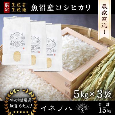 ふるさと納税 十日町市 生産農家直送!生産地・生産者限定魚沼産コシヒカリ「イネノハ」精米(5kg×3袋)【合計15kg】