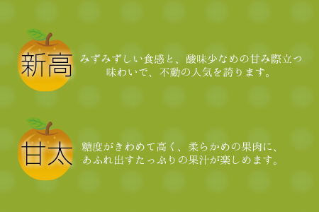 さかもと果樹園の玉東梨 約5kg (6玉-18玉前後)《8月上旬-10月上旬頃出荷》熊本県玉名郡玉東町 梨 なし 果物 旬の梨 