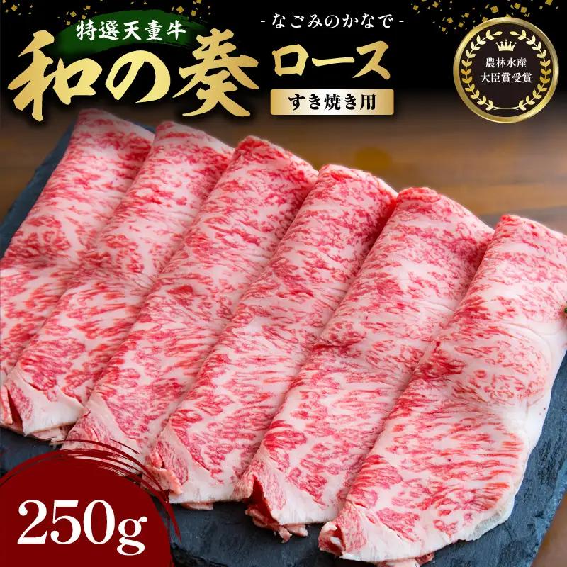 農林水産大臣賞受賞 特選 天童牛 和の奏 ロース すき焼き用 250g 山形牛 08-27-016