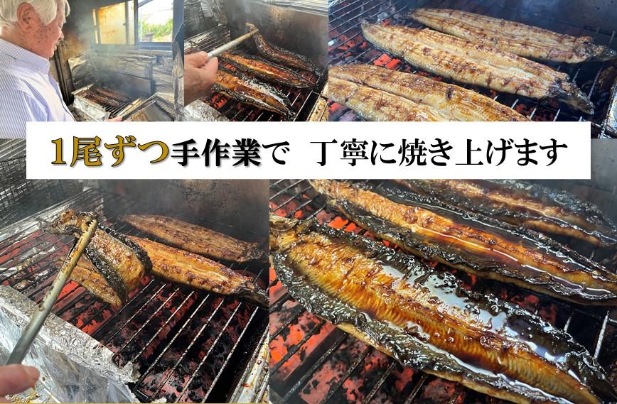 老舗旅館が守り続ける、秘伝のタレでいただく大隅産ウナギ（2尾入）