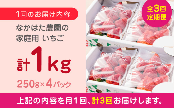 【先行予約】【全3回定期便】【2025年12月より順次発送】いちご食べ比べ セット 4品種 総計3.0kg ( 250g × 4P × 3回 ) 農園直送 産地直送 熊本県産 山都町産 いちご イチゴ