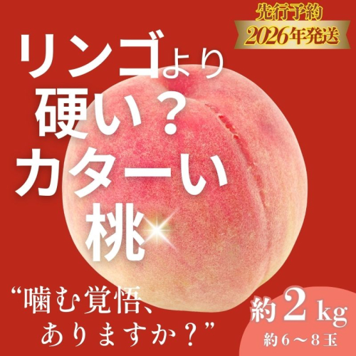 【2026年　先行予約】日本一の産地山梨県産　朝採れカターい桃２Kg（5～8房）|山梨 桃 もも モモ フルーツ 硬い桃 固い桃