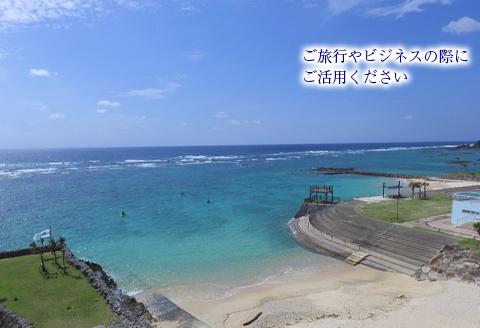 鹿児島県 徳之島 天城町 レンタカー 1泊2日利用券 軽自動車 ビジネス 旅行 チケット