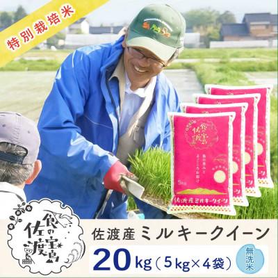 ふるさと納税 佐渡市 佐渡島産ミルキークイーン 無洗米20kg(5kg×4袋) 令和7年産 特別栽培米