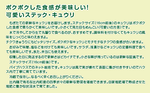 ステックキュウリ ポクポク柔らか！めんこい！約40本　90P3205
