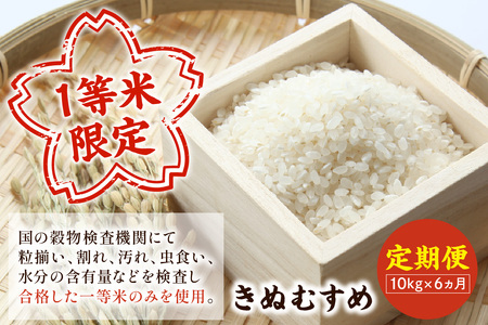 【定期便】【令和5年産】石見産きぬむすめ 60kg 6ヶ月（10kg×6回コース） お取り寄せ 特産 お米 精米 白米 ごはん ご飯 コメ 新生活 応援 準備 【238】