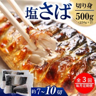 ふるさと納税 小浜市 【毎月定期便】塩サバ切身　500g(約7〜10切)全3回