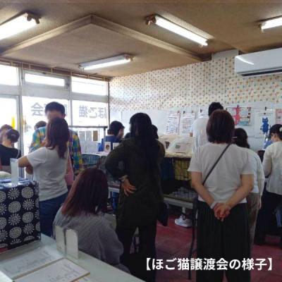 ふるさと納税 小郡市 保護猫活動を応援! ロゴチャーム(金具)&ポストカード×3枚[No5354-0977] |  | 02