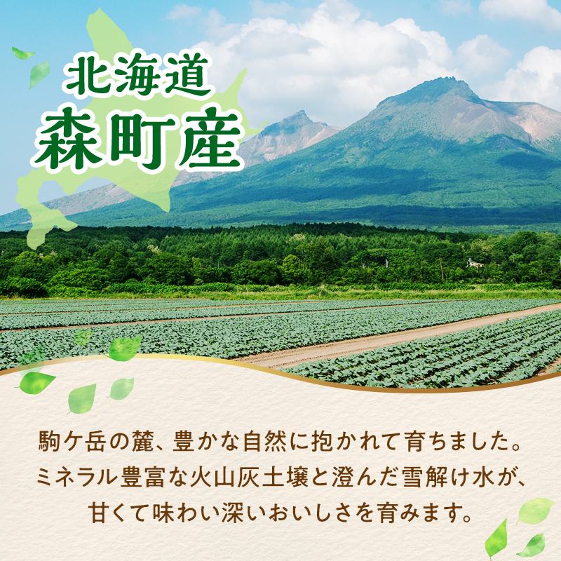 【6ヶ月定期便】小分け カット済み ブロッコリー 冷凍 1.2kg×6回 北海道森町産 野菜 おかず お弁当 便利 小分け カット済み ブロッコリー 冷凍 mr1-1006