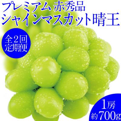 ふるさと納税 浅口市 【発送月固定定期便】先行予約  2回定期便 プレミアムシャインマスカット晴王 1房 約700g全2回