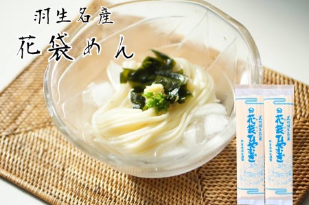 明治六年創業　武州羽生名産　「花袋ひやむぎ」　40人前(200g×20入)