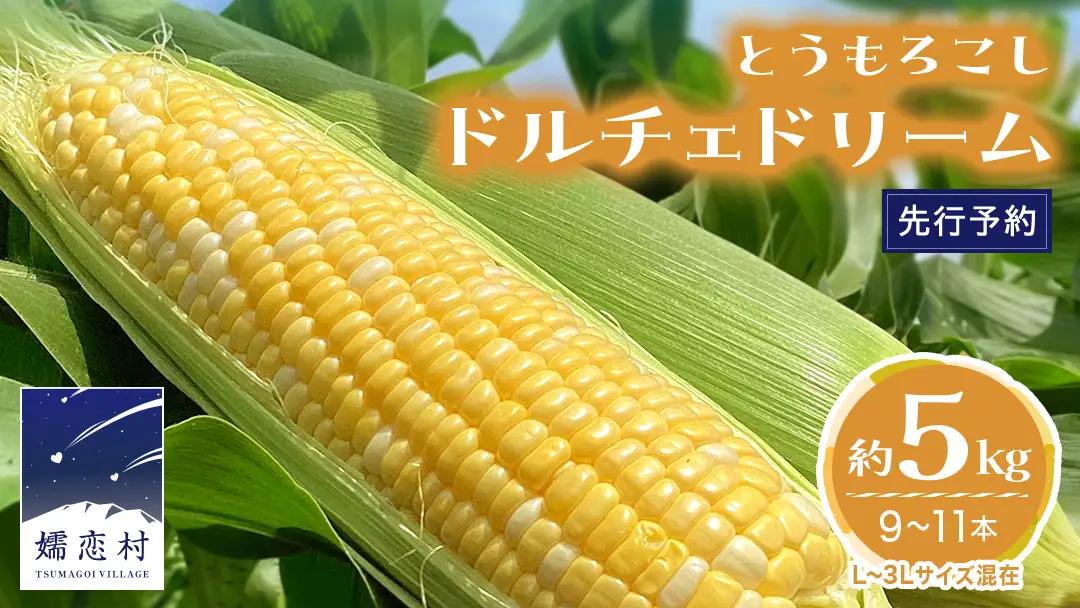 【 7月中旬発送開始 】 嬬恋産 とうもろこし ドルチェドリーム 約5kg（9～11本） [AT002tu]