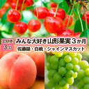 【ふるさと納税】【定期便3回】みんな大好き山形果実 (佐藤錦、白桃、シャインマスカット) 【令和6年産先行予約】FU23-342 フルーツ くだもの 果物 お取り寄せ 先行予約