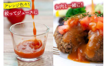 【2026年発送】 春作 訳あり 桃太郎トマト 約4kg [ヨダファーム 山梨県 中央市 21470975] 規格外 家庭用 不揃い トマト とまと 野菜 やさい 4キロ 季節限定 期間限定 産地直送