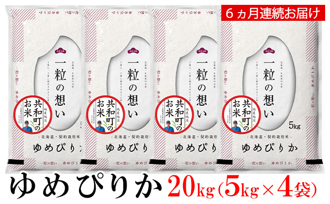 令和5年産 定期便 6ヵ月連続お届け ゆめぴりか 20kg 精米 北海道 共和町