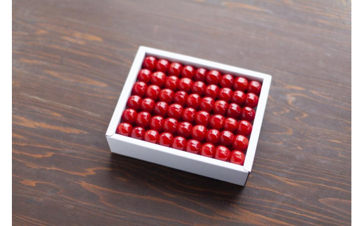 
                  【2026年発送】さくらんぼ　紅秀峰　特秀2L-3L　500ｇ　化粧詰め
                